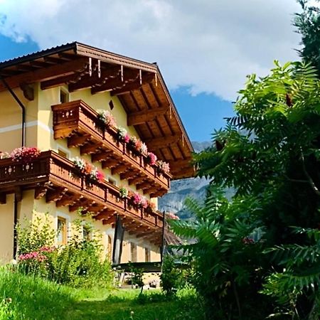 Alpen Appartements Oberlehengut Werfenweng Exterior photo