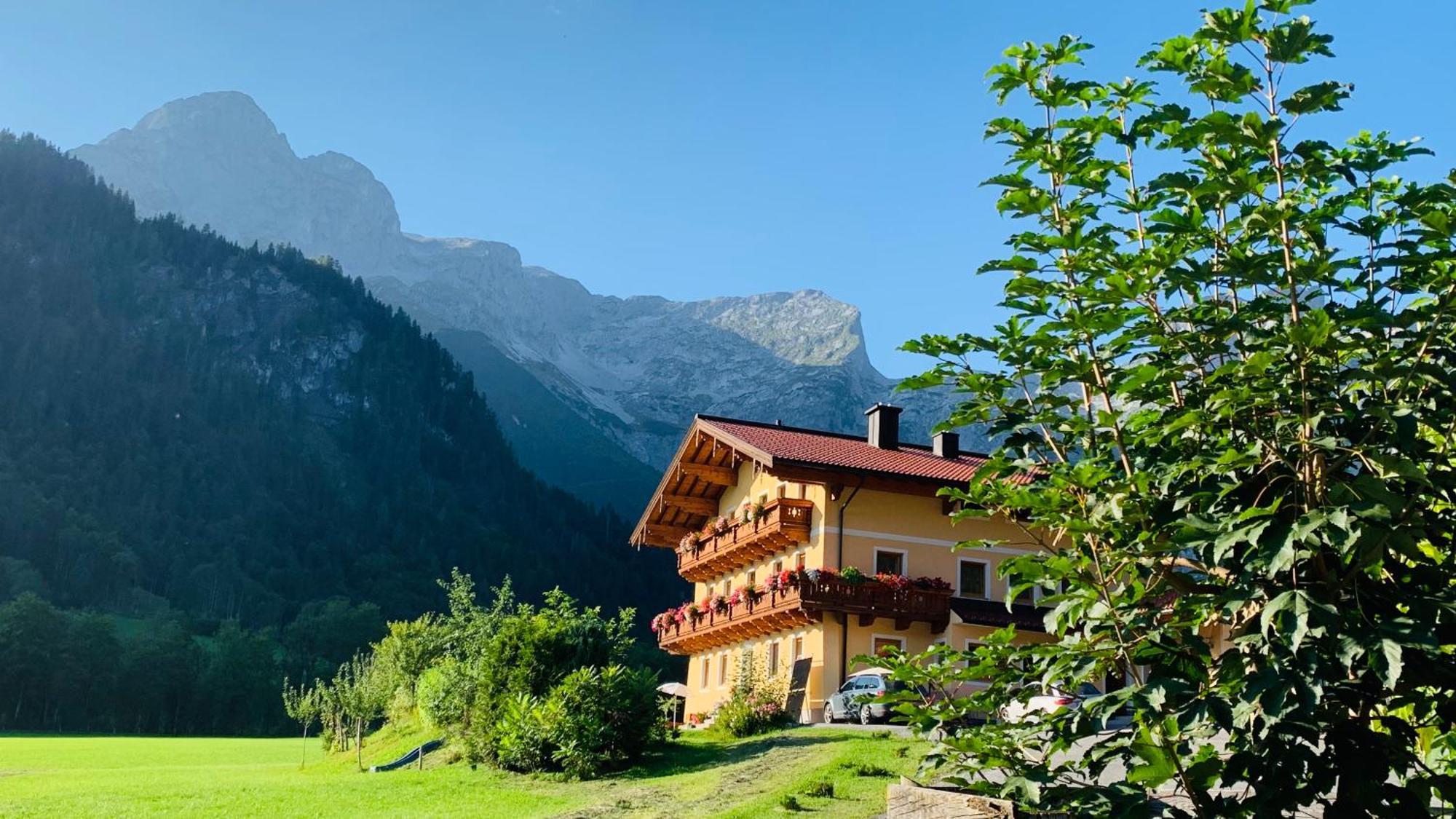 Alpen Appartements Oberlehengut Werfenweng Exterior photo