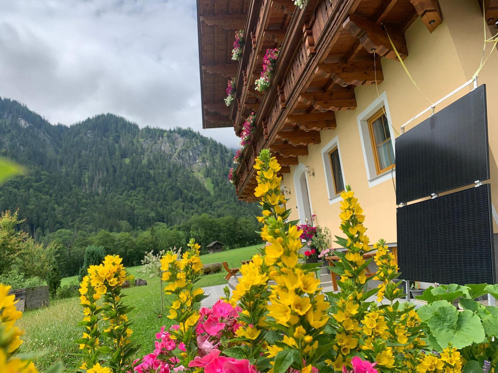 Alpen Appartements Oberlehengut Werfenweng Exterior photo